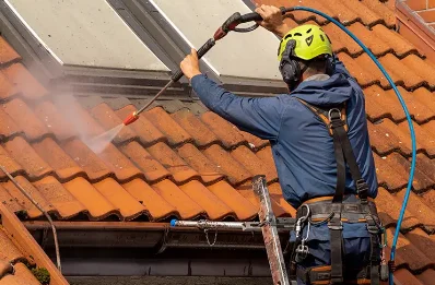 Démoussage et hydrofuge de toiture à Lauw